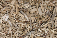 biomass boilers Wymbush